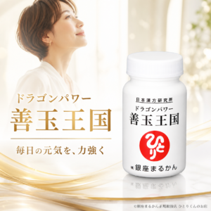 ドラゴンパワー善玉王国